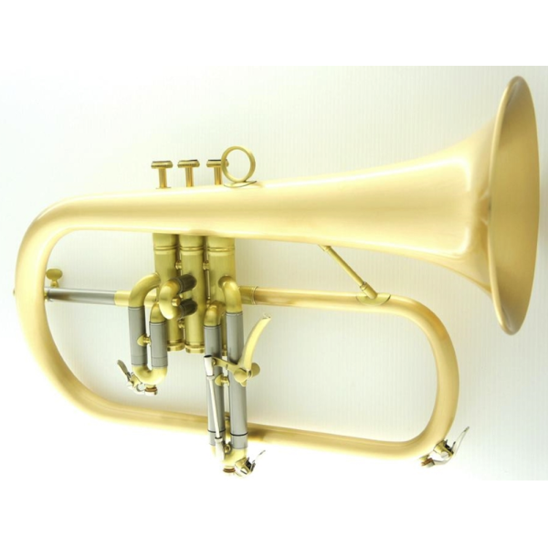 Carolbrass CFL-6200-GSS