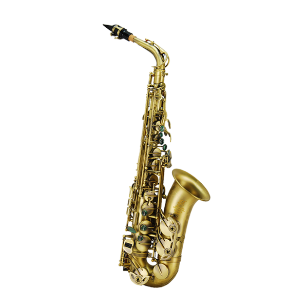 VIF GAS-600RG