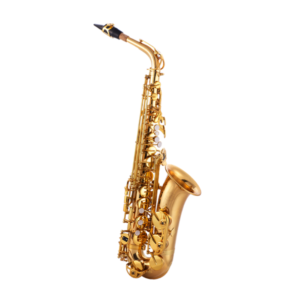 JP JP245