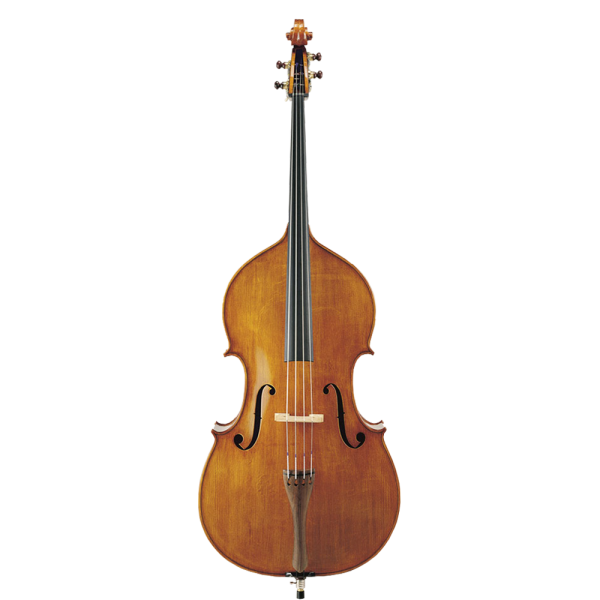 Violine