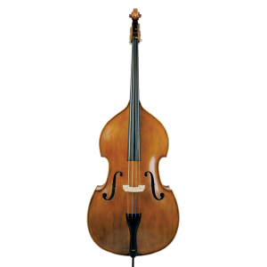 Gamba 1/4, 1/2, 3/4, 5/8, 7/8, 4/4