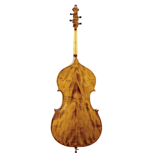Violine：圖片 2