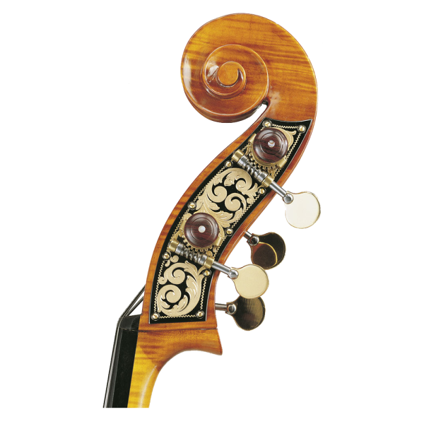 Violine：圖片 3