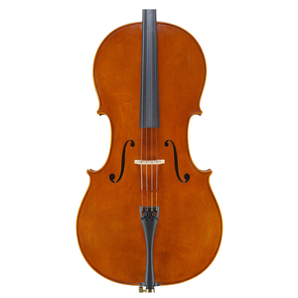 2016 Cello