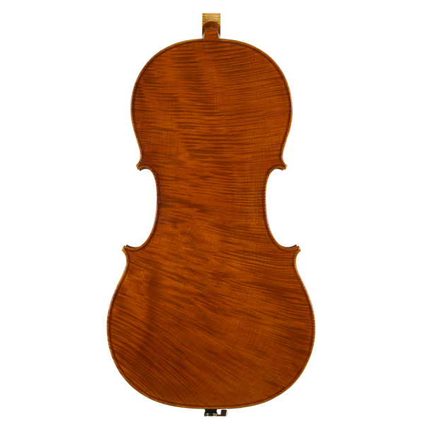 2016 Cello：圖片 2