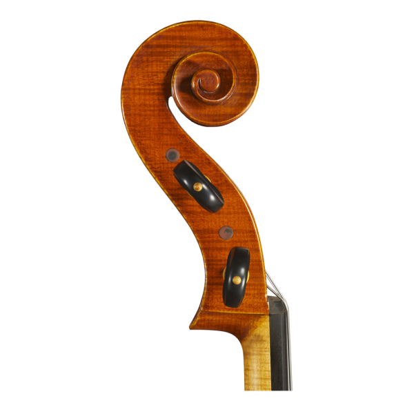 2016 Cello：圖片 3