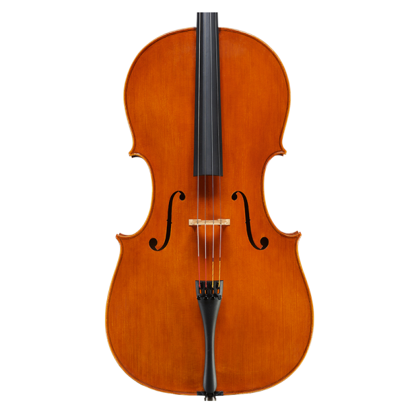 Amati Cello  4/4