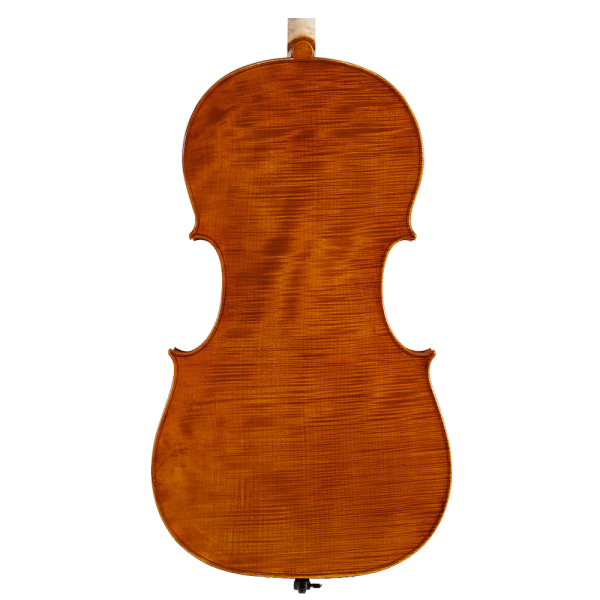 Amati Cello  4/4：圖片 2
