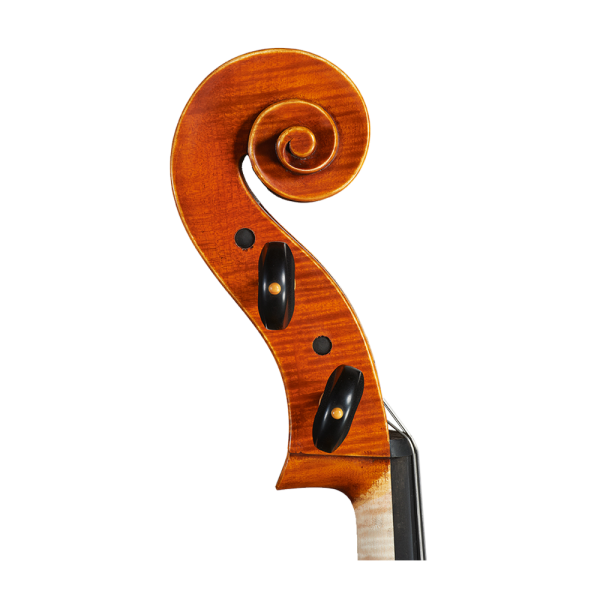 Amati Cello  4/4：圖片 3