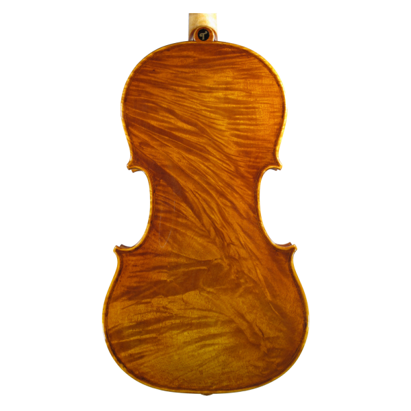 Violin 2012  4/4：圖片 2